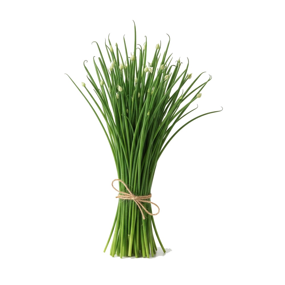 Chives