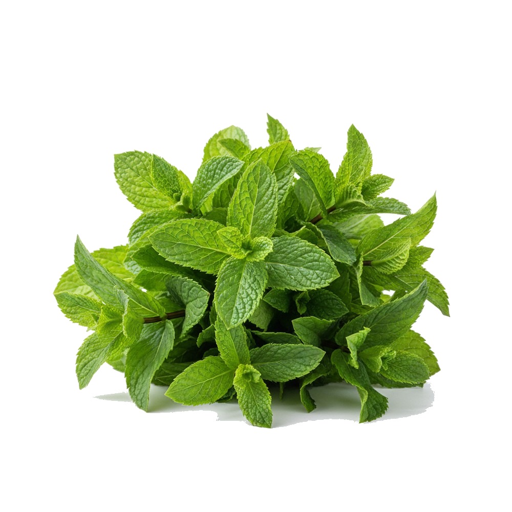 Mint