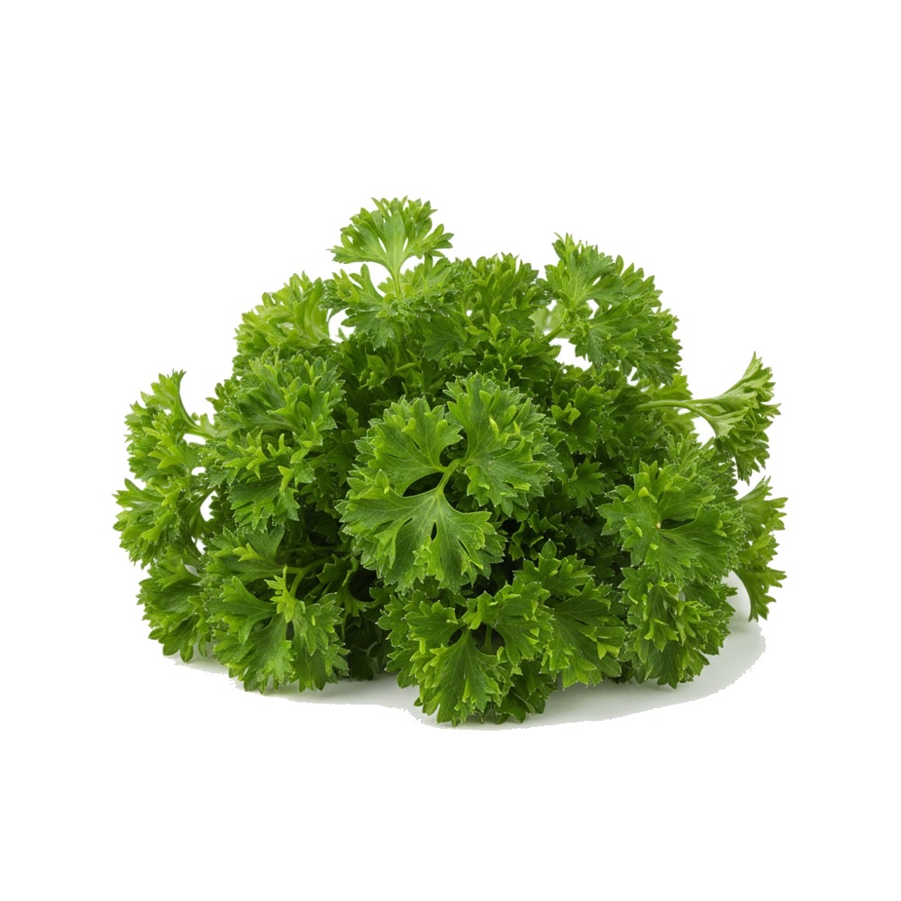 Parsley