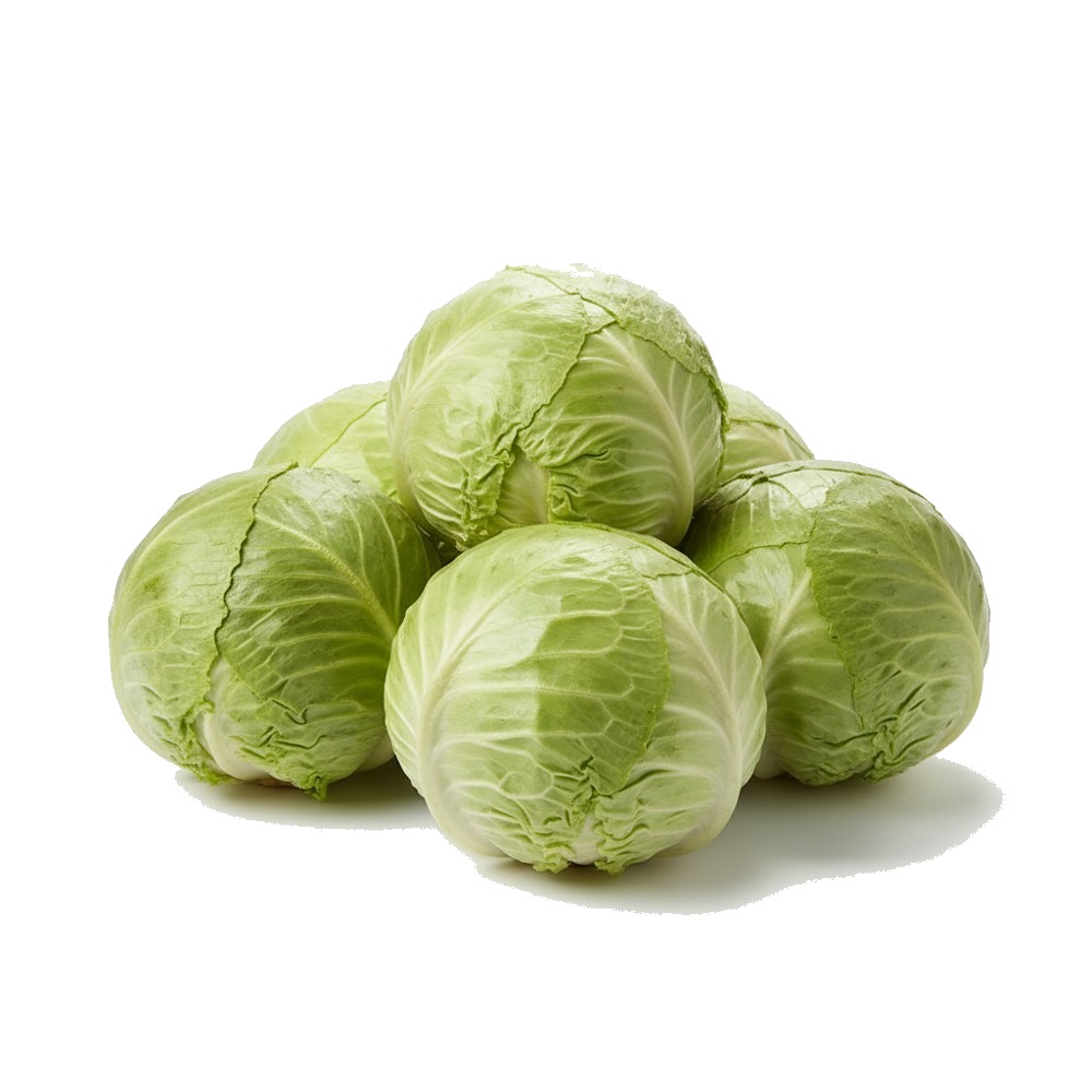 Iceberg Lettuce